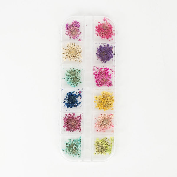 Nail Art Display XL – dried flowers – Flower Girl