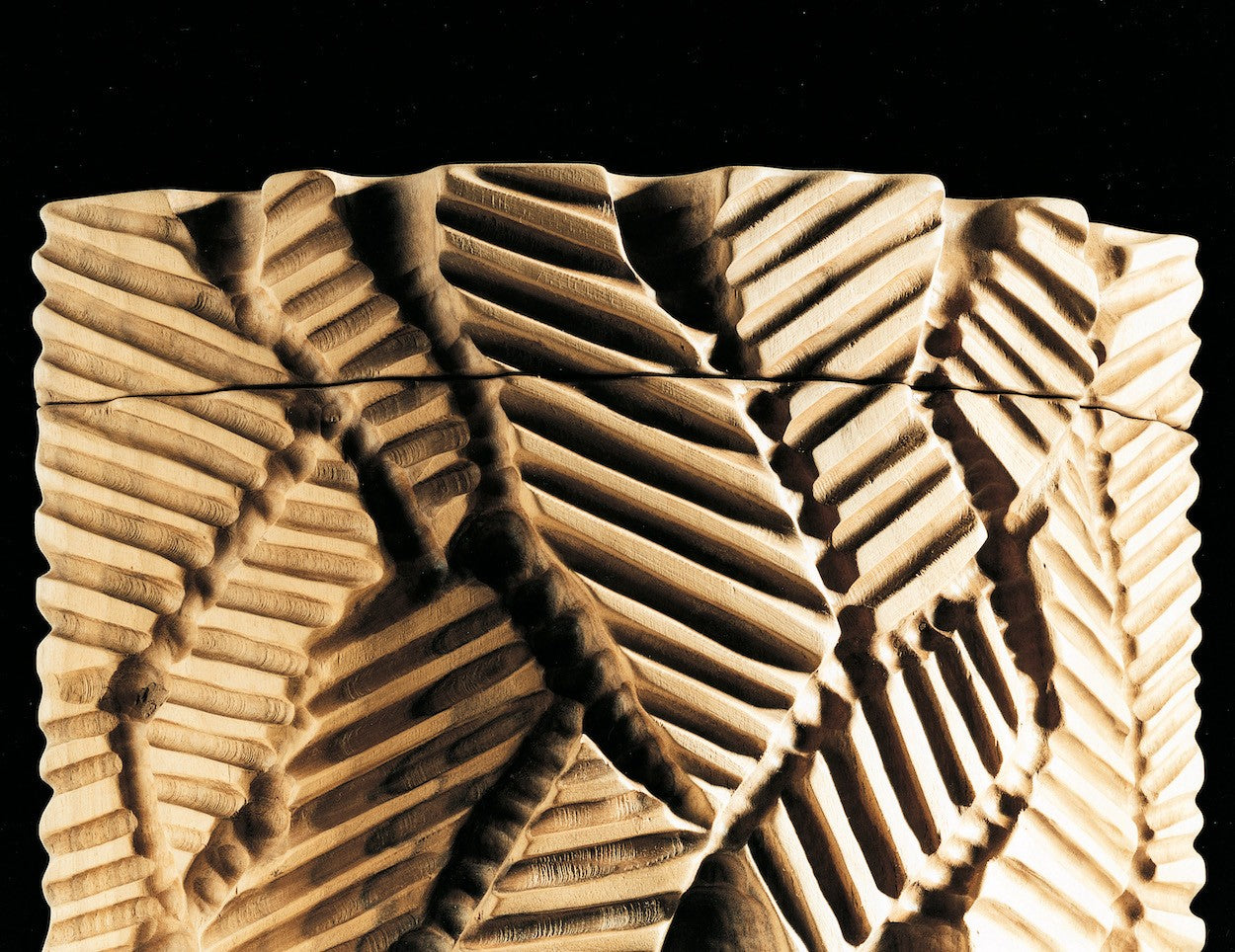 CUSTODIE - ARCA SERENA