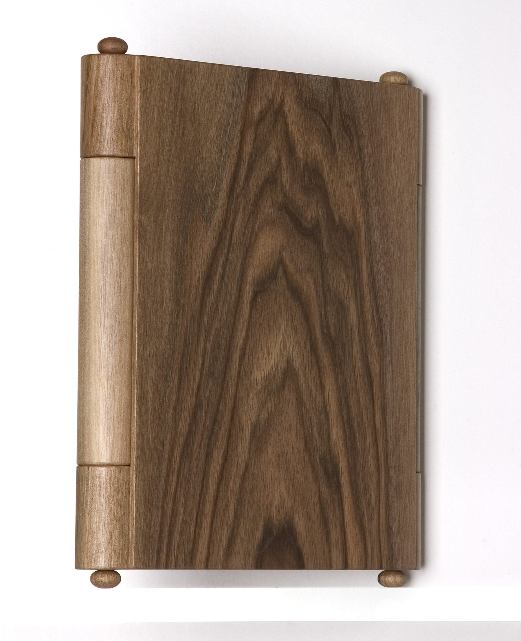 Guests of Life, Rivadossi case