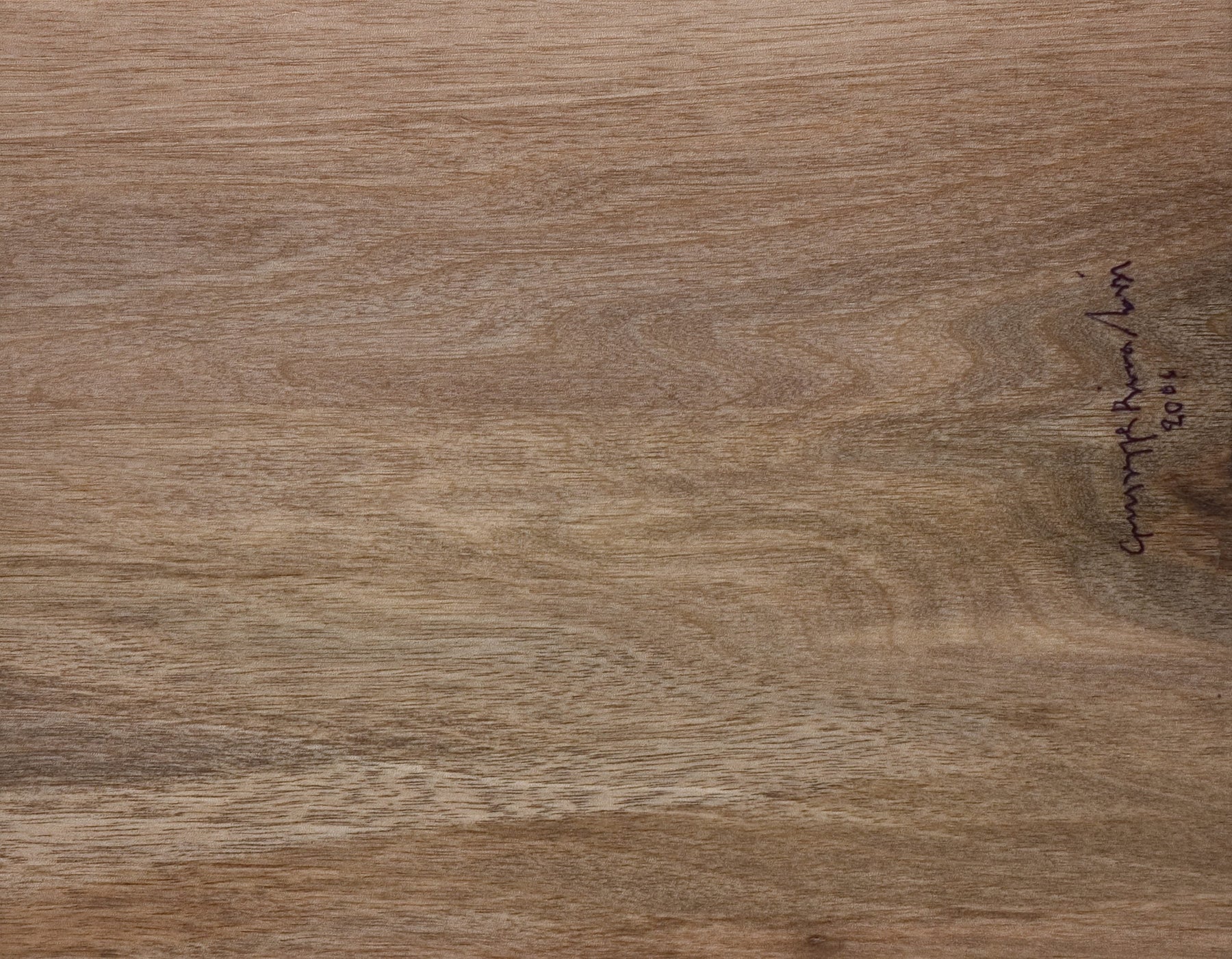 Guests of Life, Rivadossi case