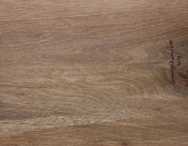 Guests of Life, Rivadossi case