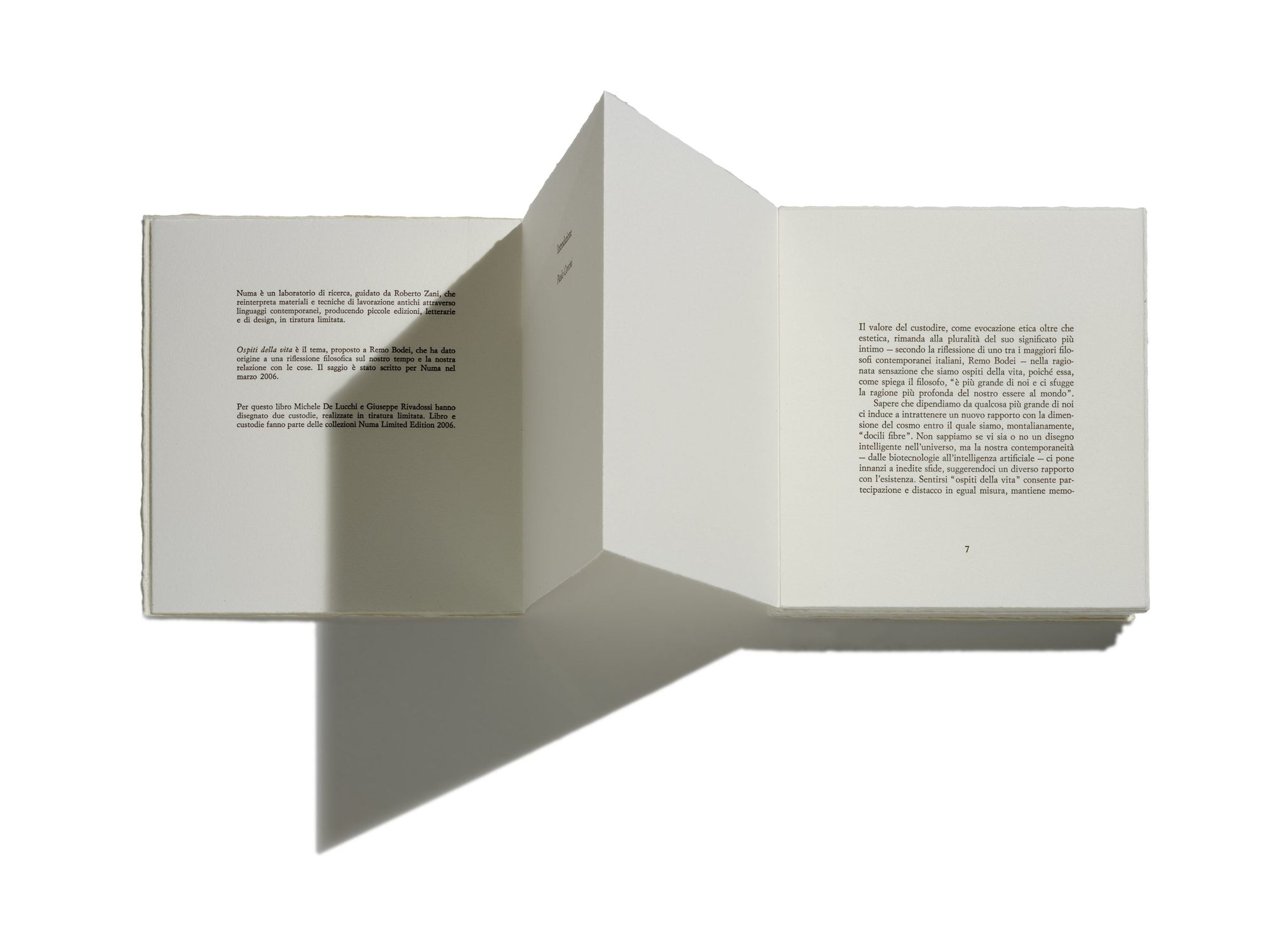 Guests of Life, De Lucchi case