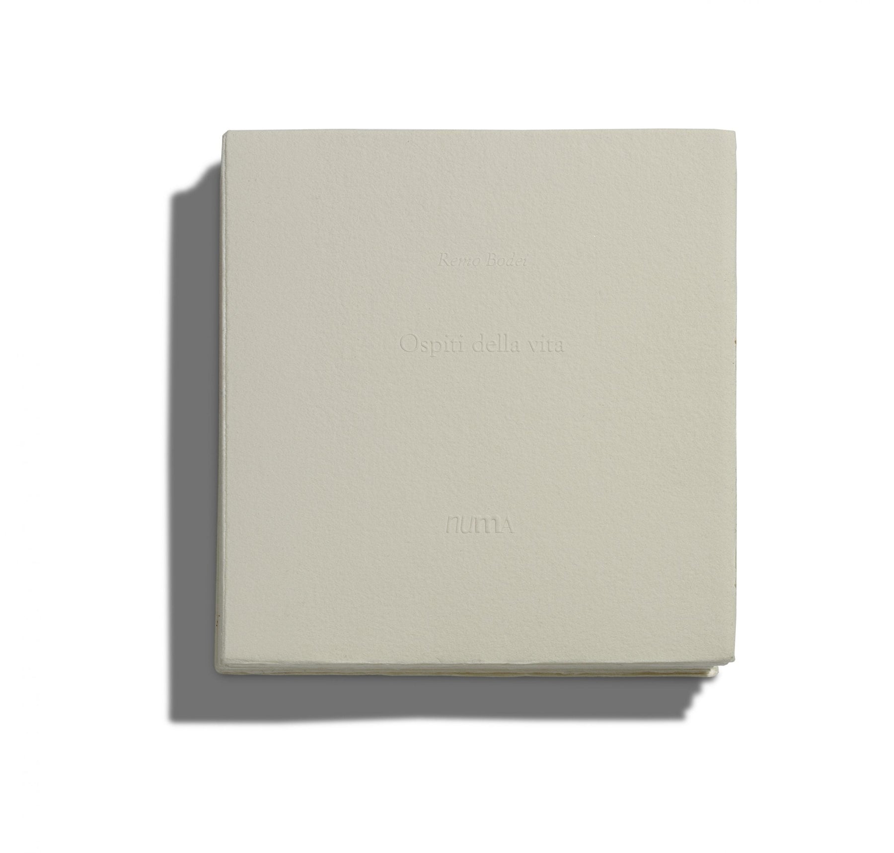 Guests of Life, De Lucchi case