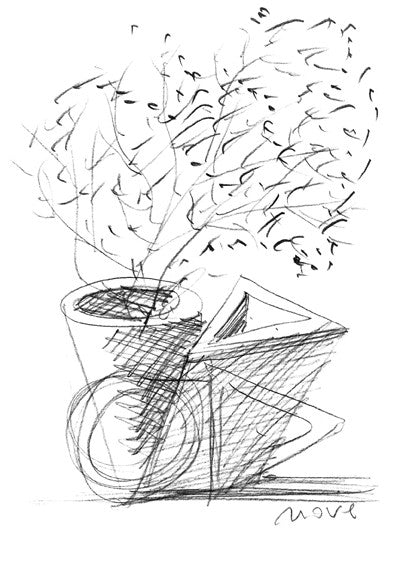 TREDICIVASI - VASE NOVE