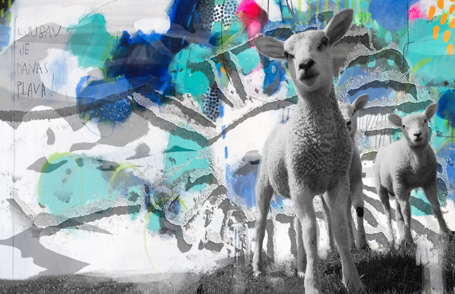 Sheep Slavko