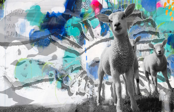 Sheep Slavko