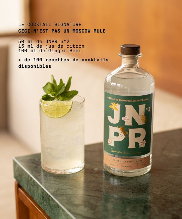 recette moscow mule sans alcool citron jnpr gin ginger beer cocktail sans alcool
