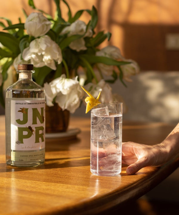 gin sans alcool jnpr 3 frais botanique verveine genièvre spiritueux sans alcool apéritif cocktail paloma sans sucre gin tonic