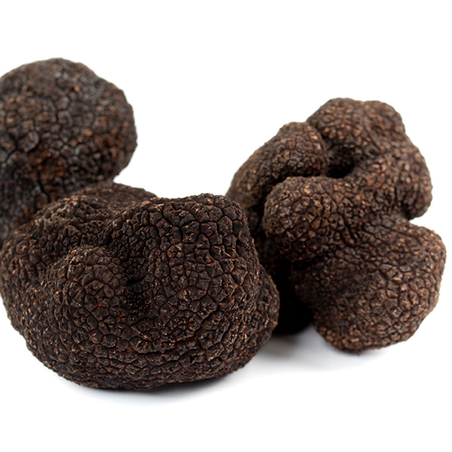 Truffe Noire (Tuber Melanosporum)