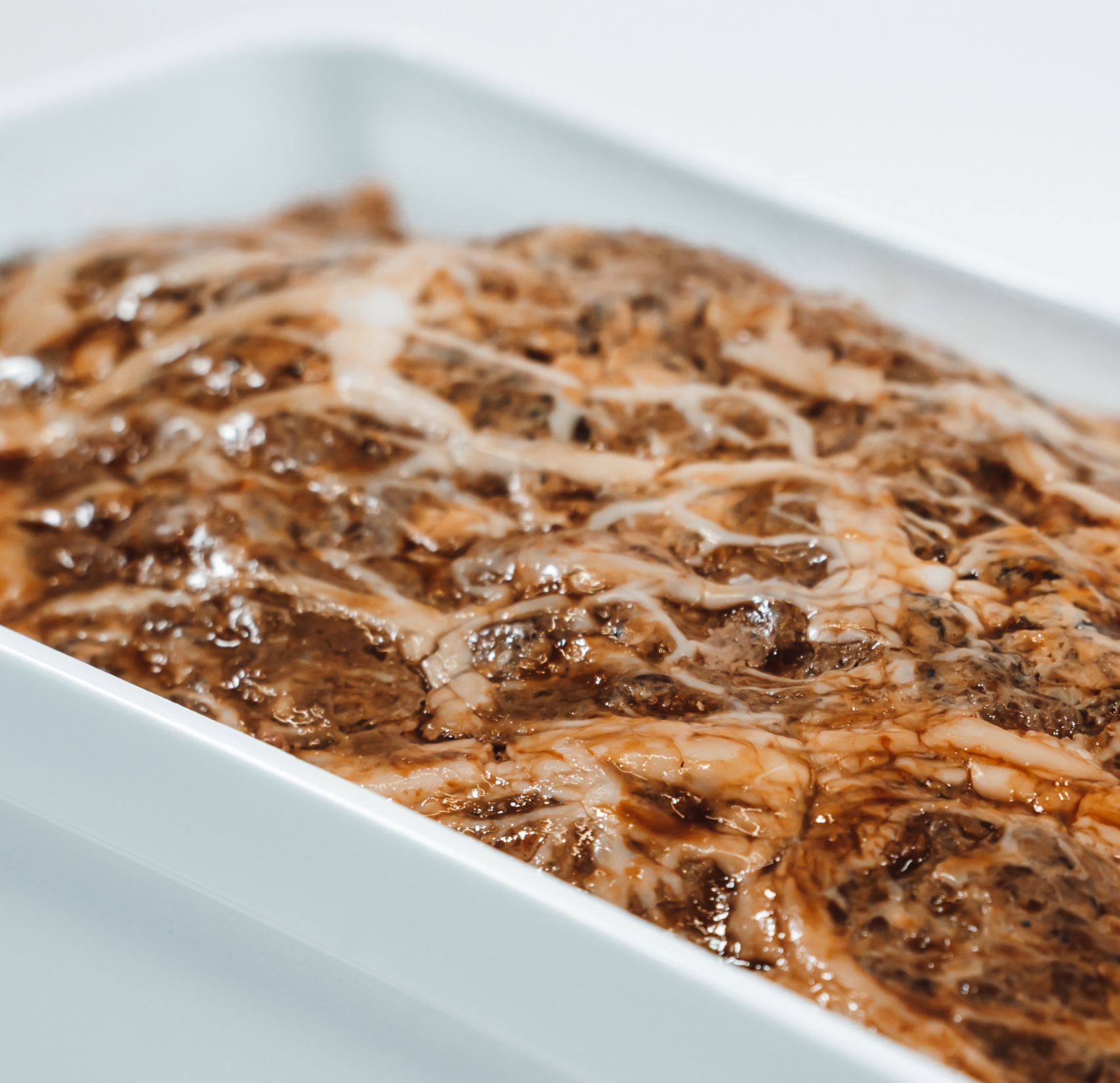 Vacuum-packed country terrine slice