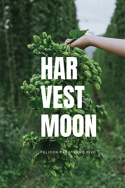Harvest Moon 2025 (wet hop ale)