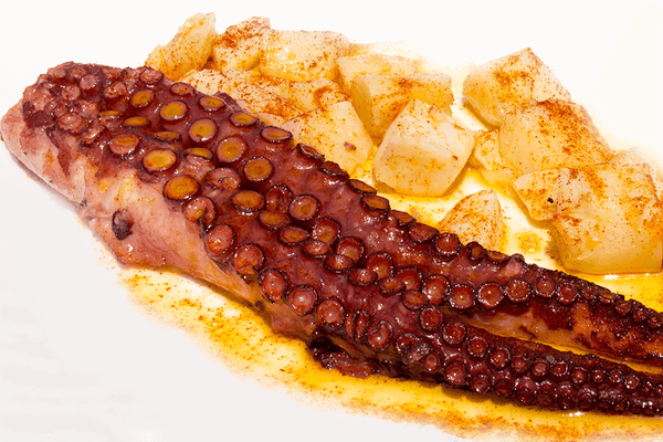 Vacuum Cooked Octopus · Pack of 4 Legs ±480 g | 100% Natural