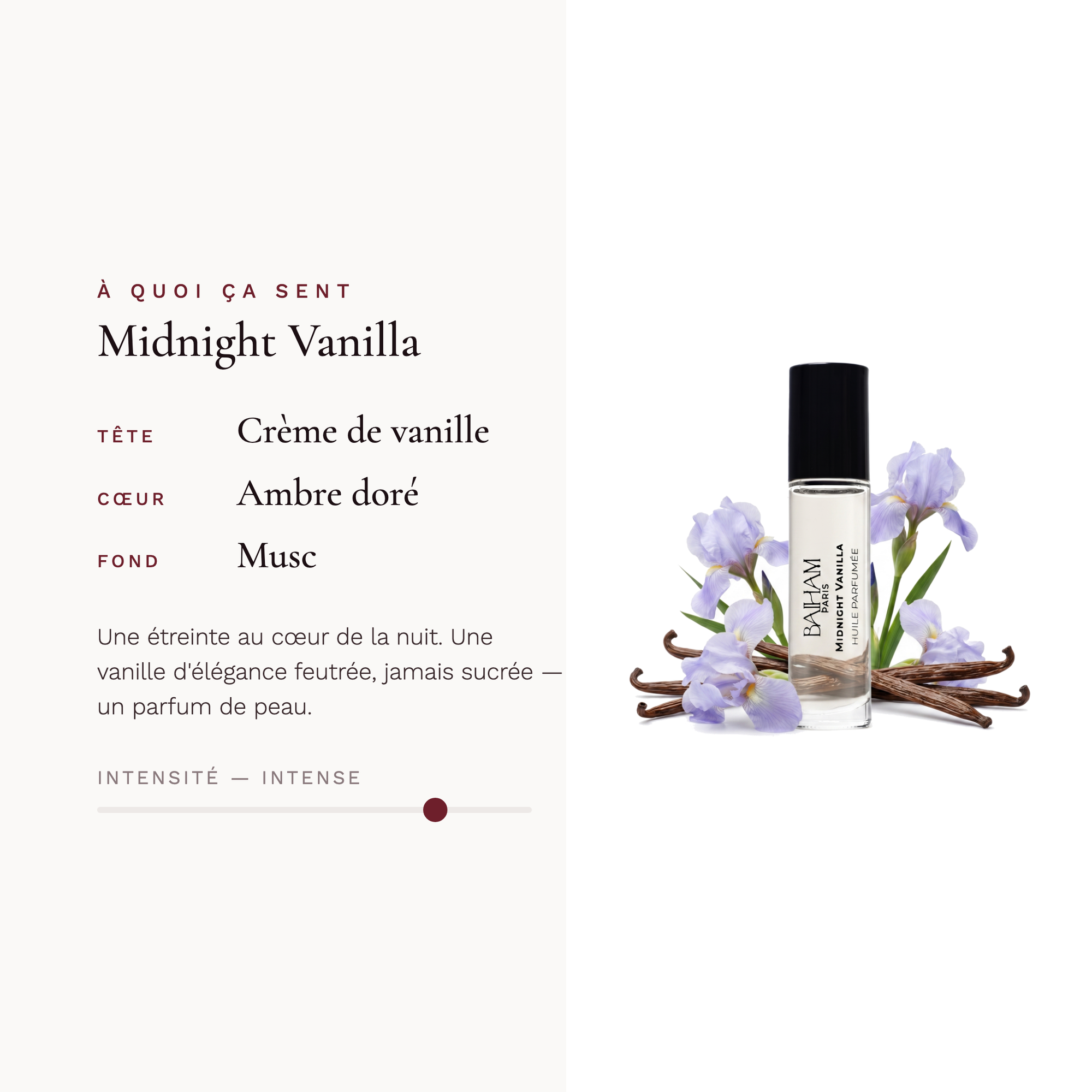 Midnight Vanilla X Inspi by Loan