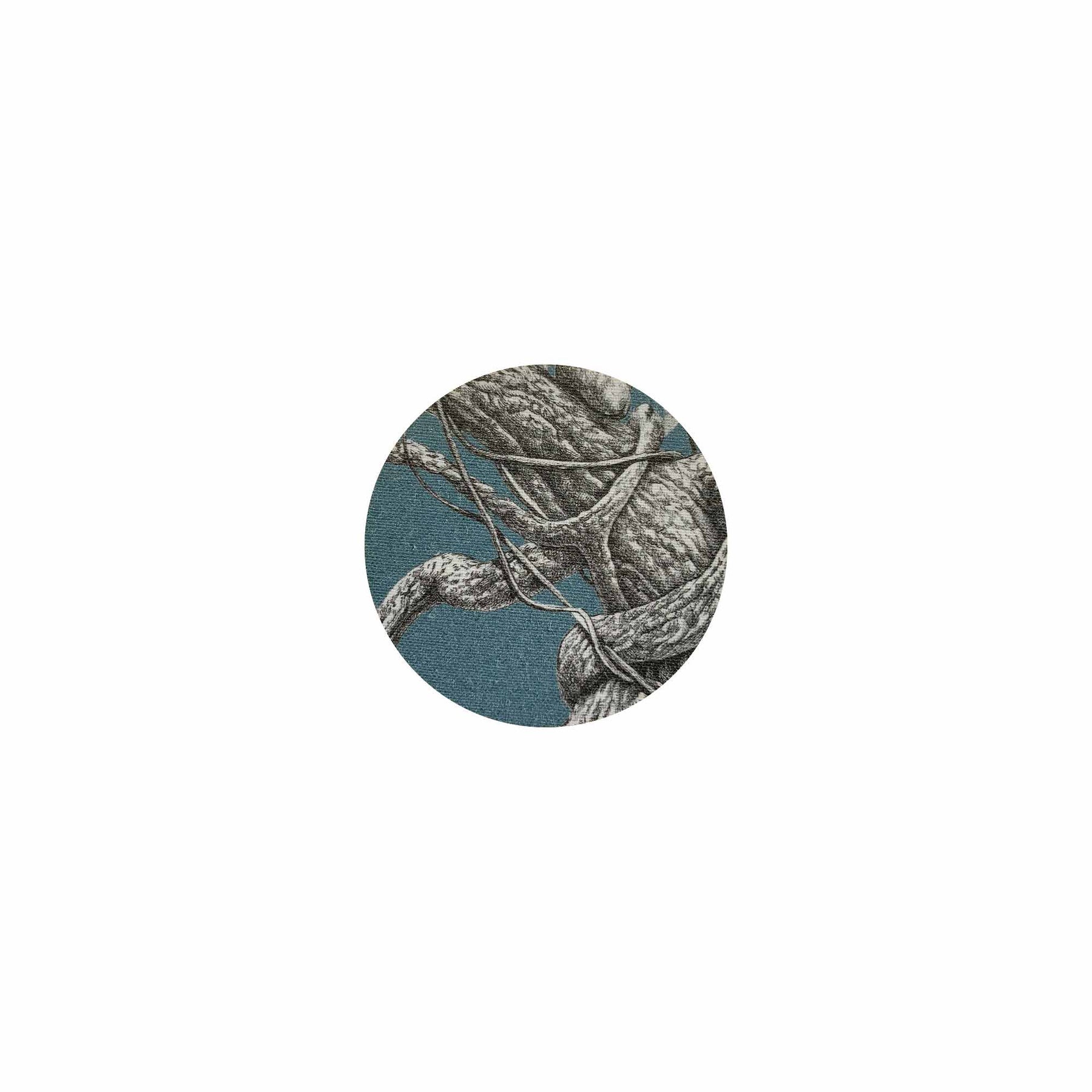 Leopardi Coaster