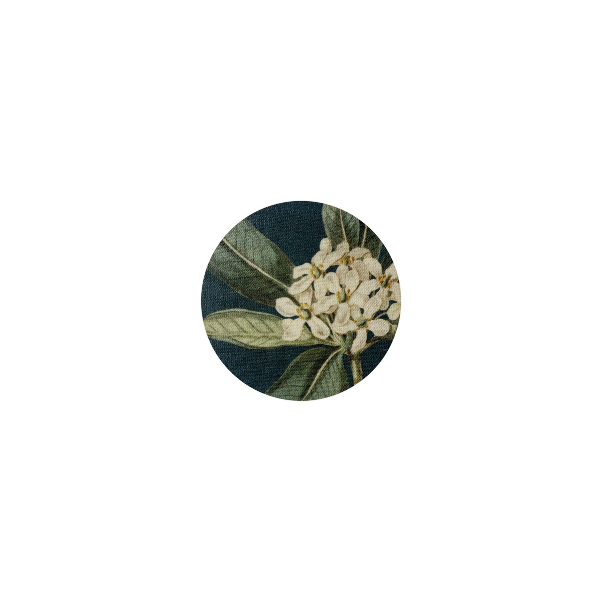 Sous-verre Jardin Anglais