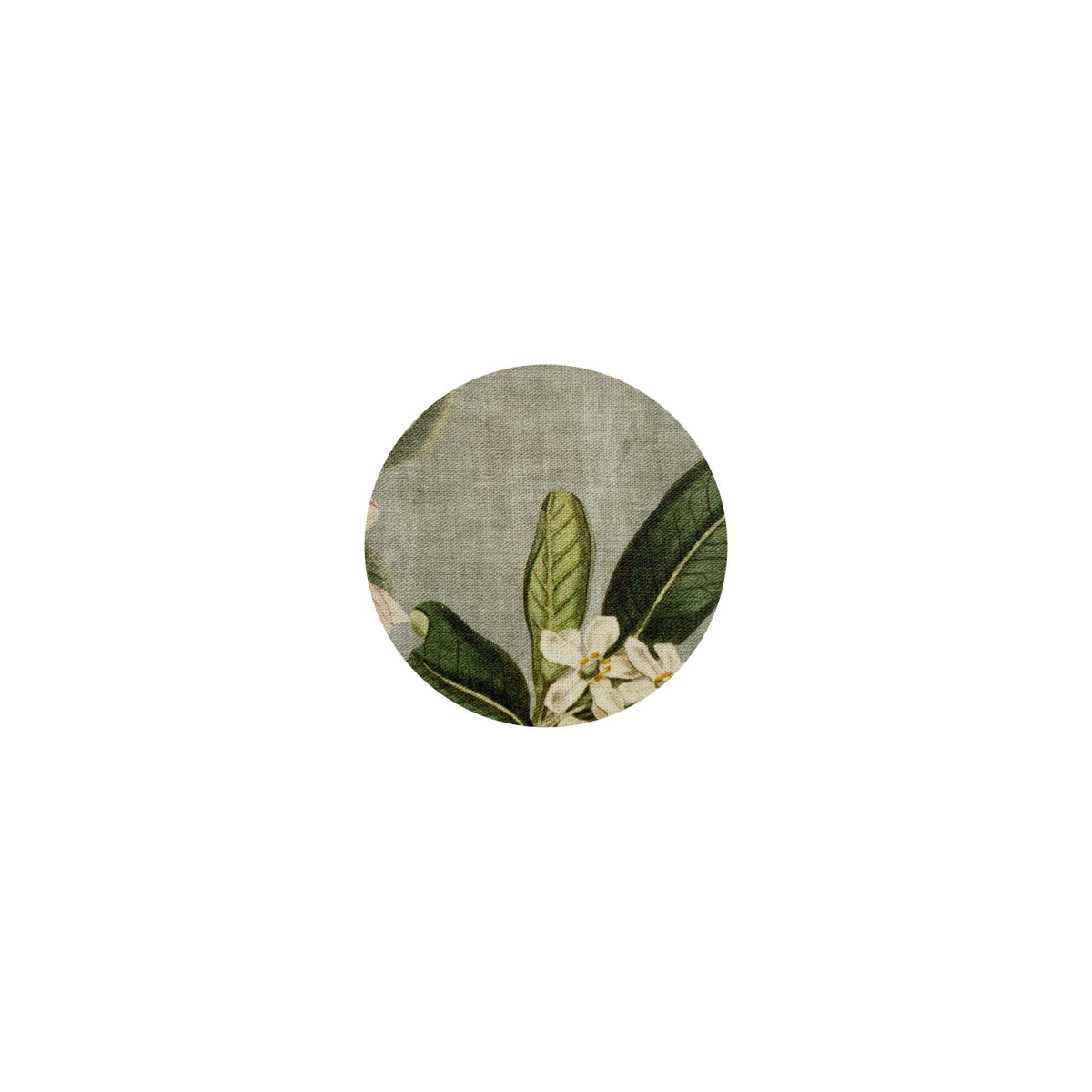 Sous-verre Jardin Anglais