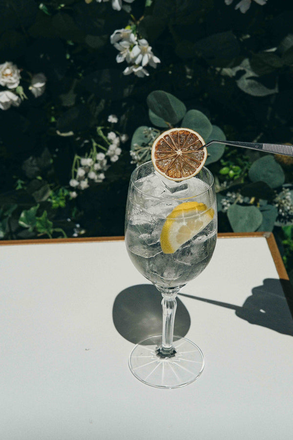 Dehydrated Lime Slices for Cocktails