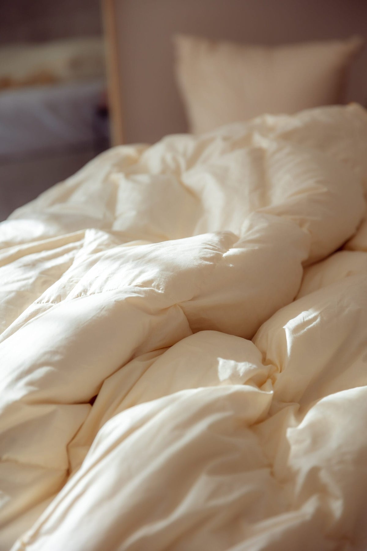 Lugi Blanket (down, feathers)