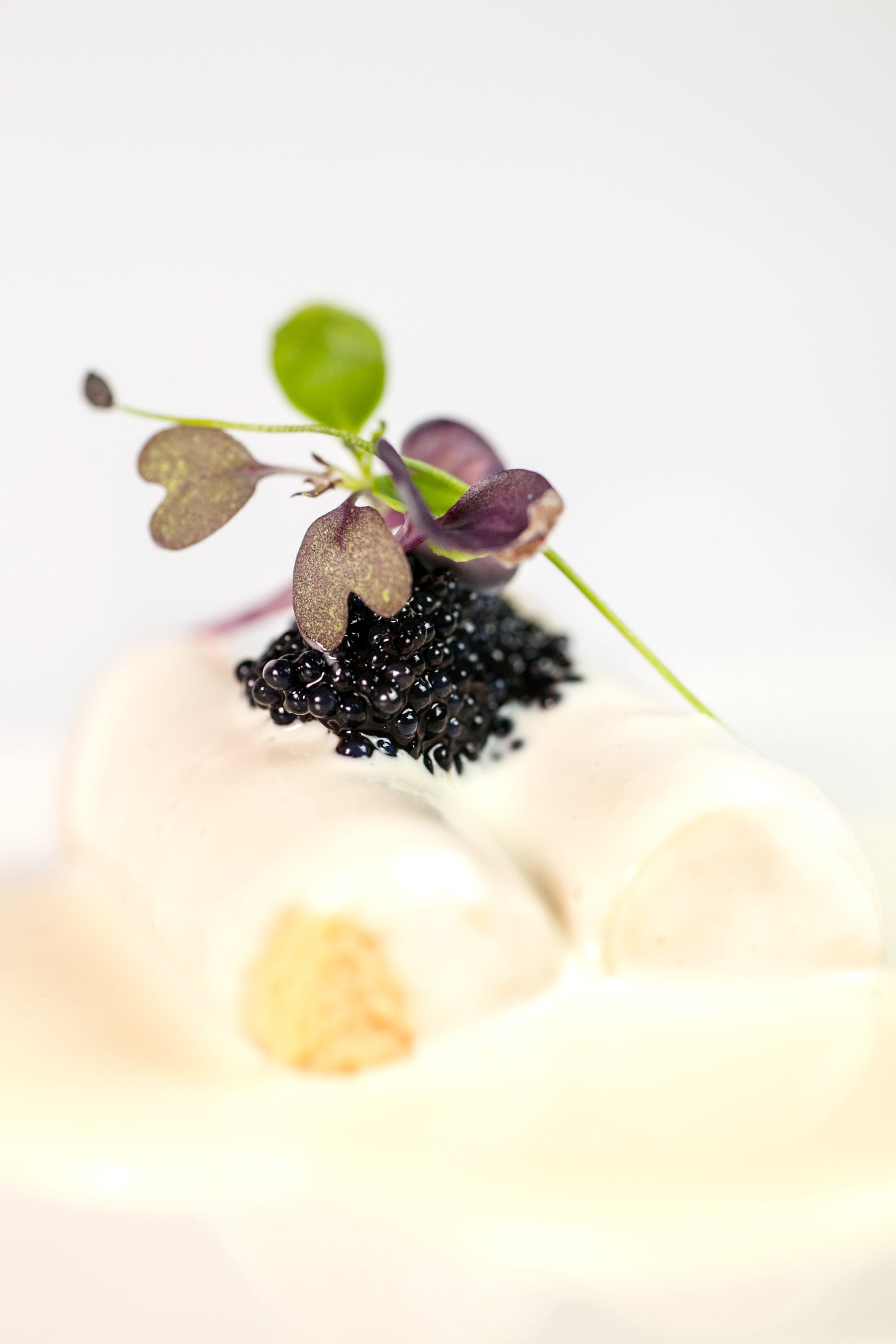 SPHERIKA, zwarte lomperik kaviaar