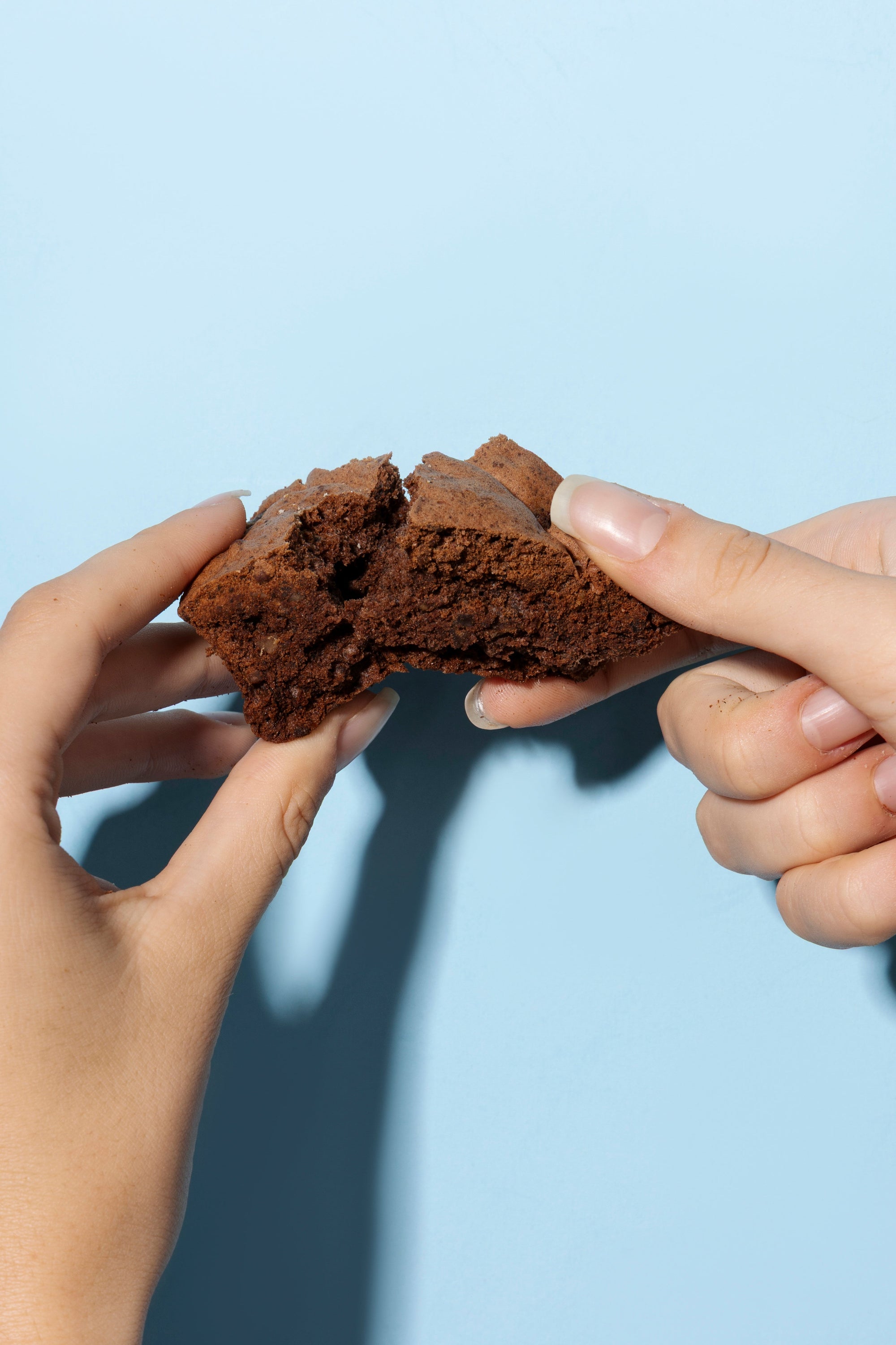 Torta di Nocciole Fondente Tastëlanghe - Tastëlanghe Azienda Agricola