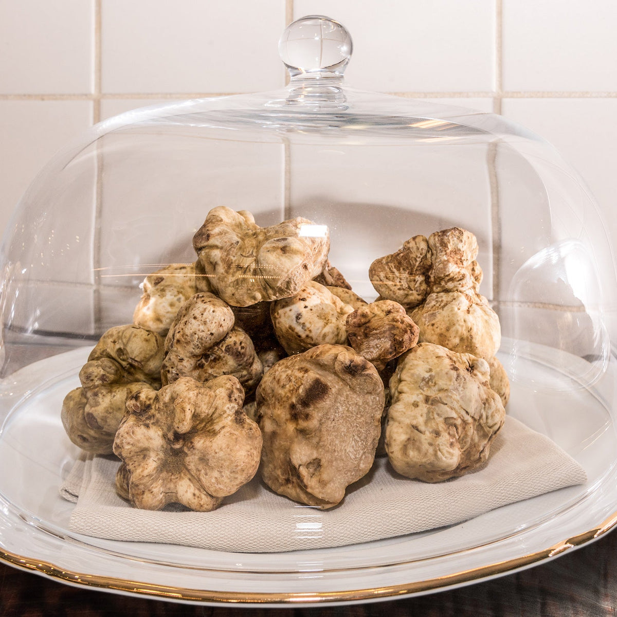 Truffe blanche (Tuber Magnatum)