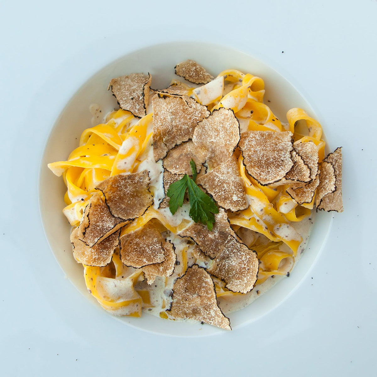 Truffe blanche (Tuber Magnatum)