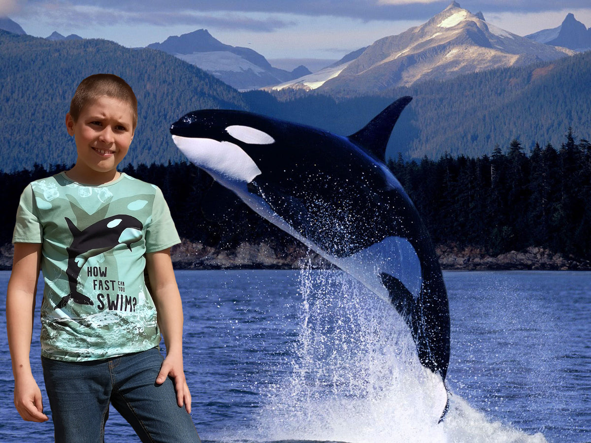 Chlapecké tričko Orca IKAB