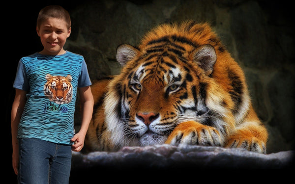 Boys' T-shirt Tiger Head IKAB
