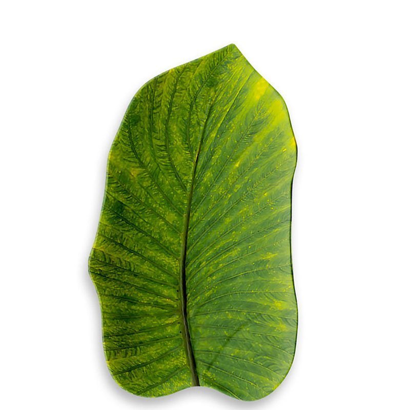 YORK FLOWER - MEDIUM LEAF TRAY - TOUCH-MEL