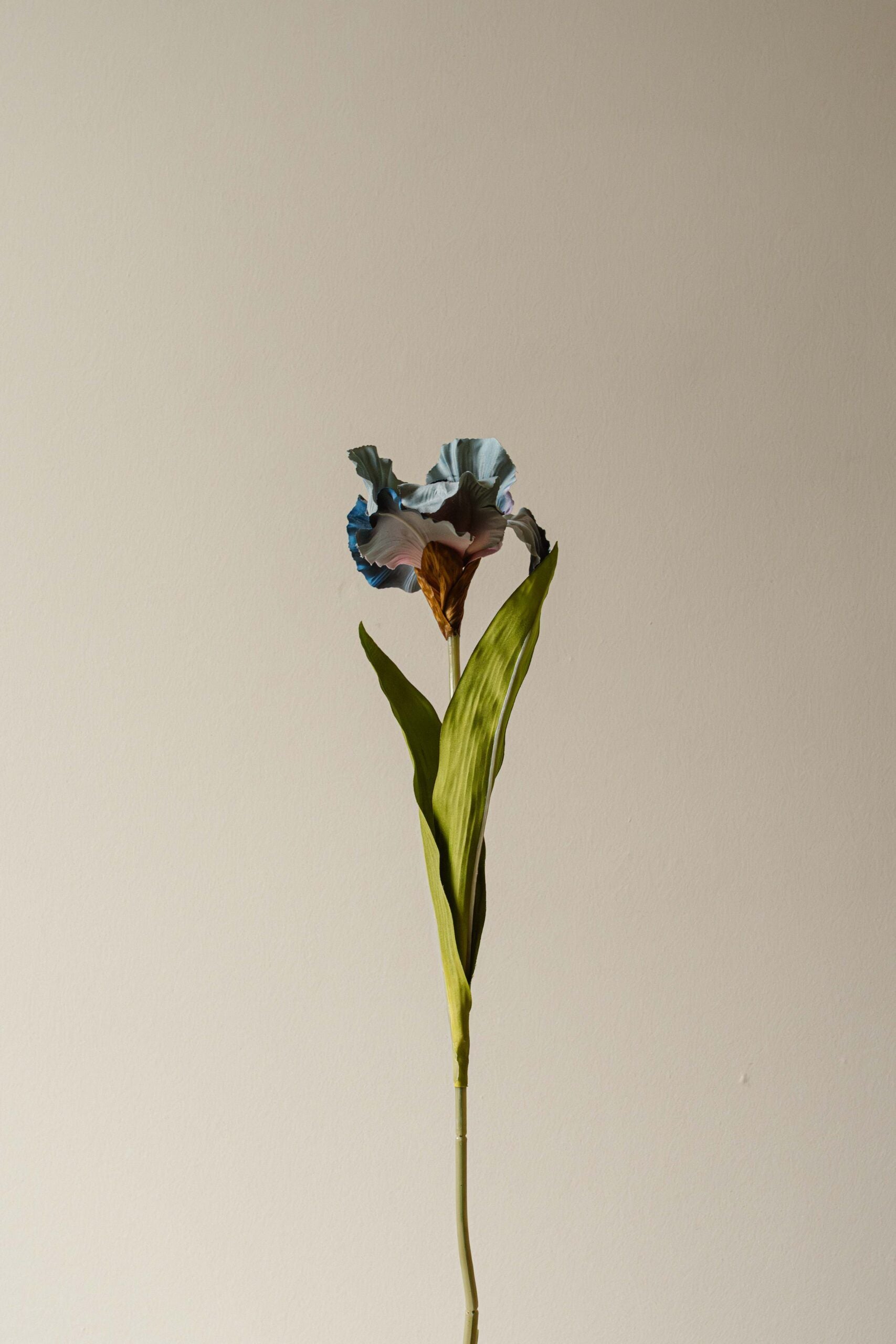 Indore Silva - Iris - Purple - artificial branch - silk