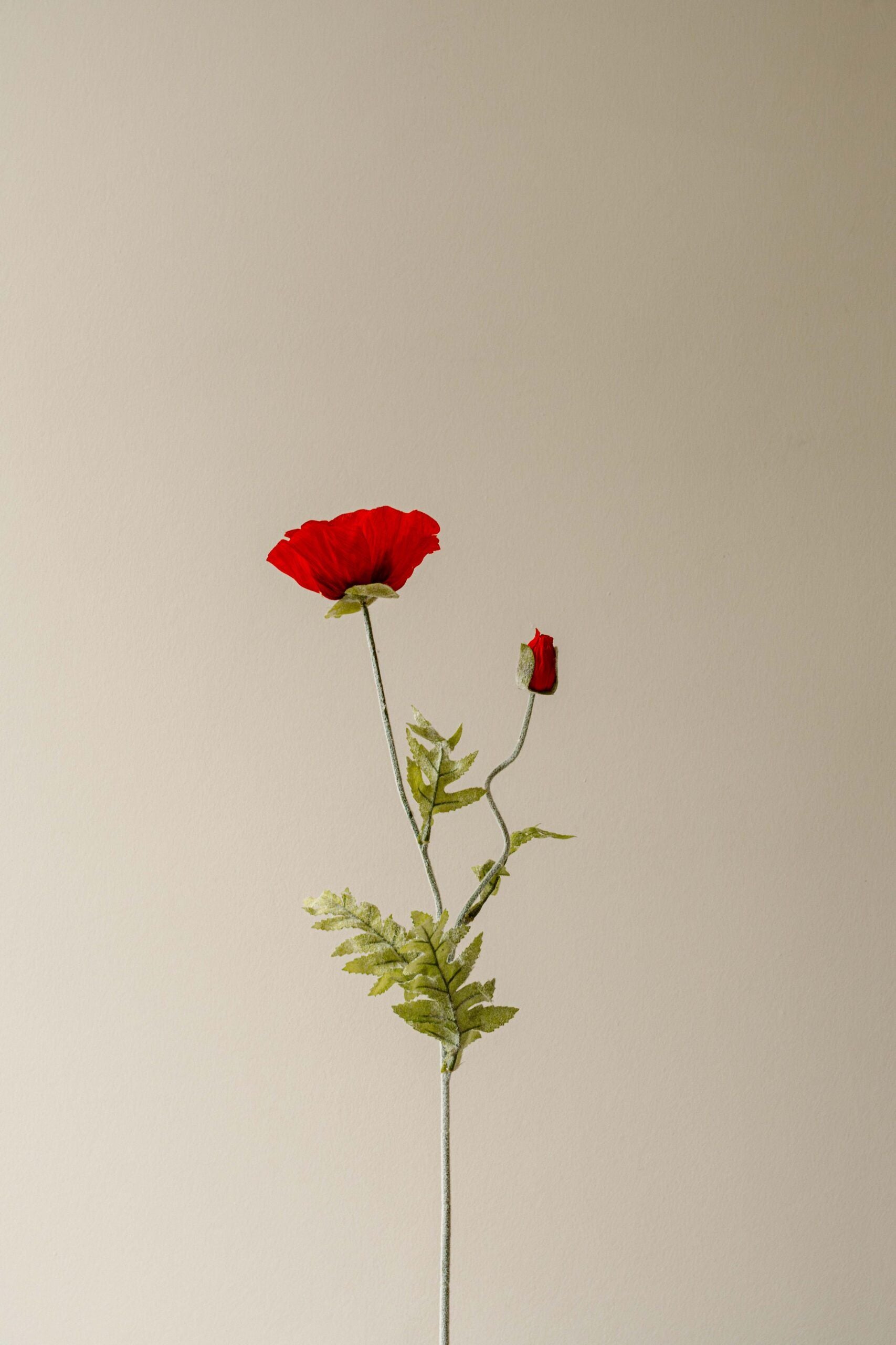 Indore Silva - Poppy - Red - artificial branch - silk