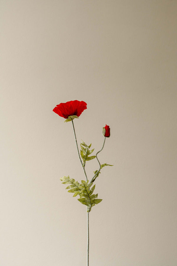 Indore Silva - Klaproos - Rood - kunsttak - zijde