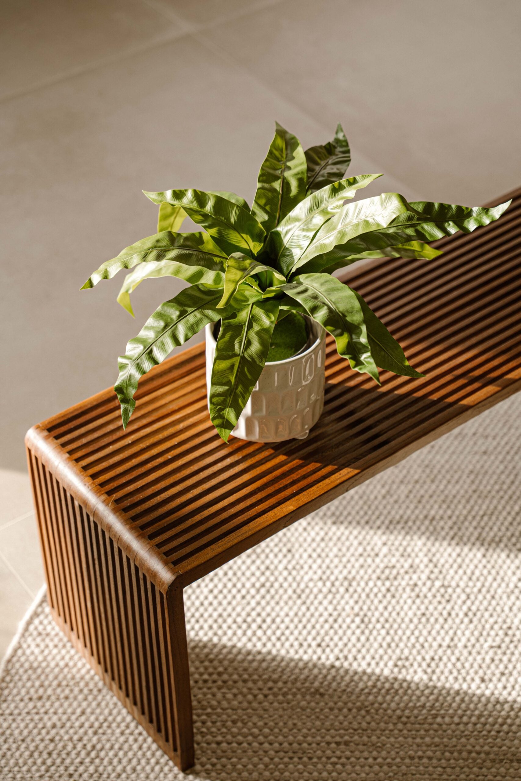 Indore Silva - Artificial Asplenium Fern - 60cm