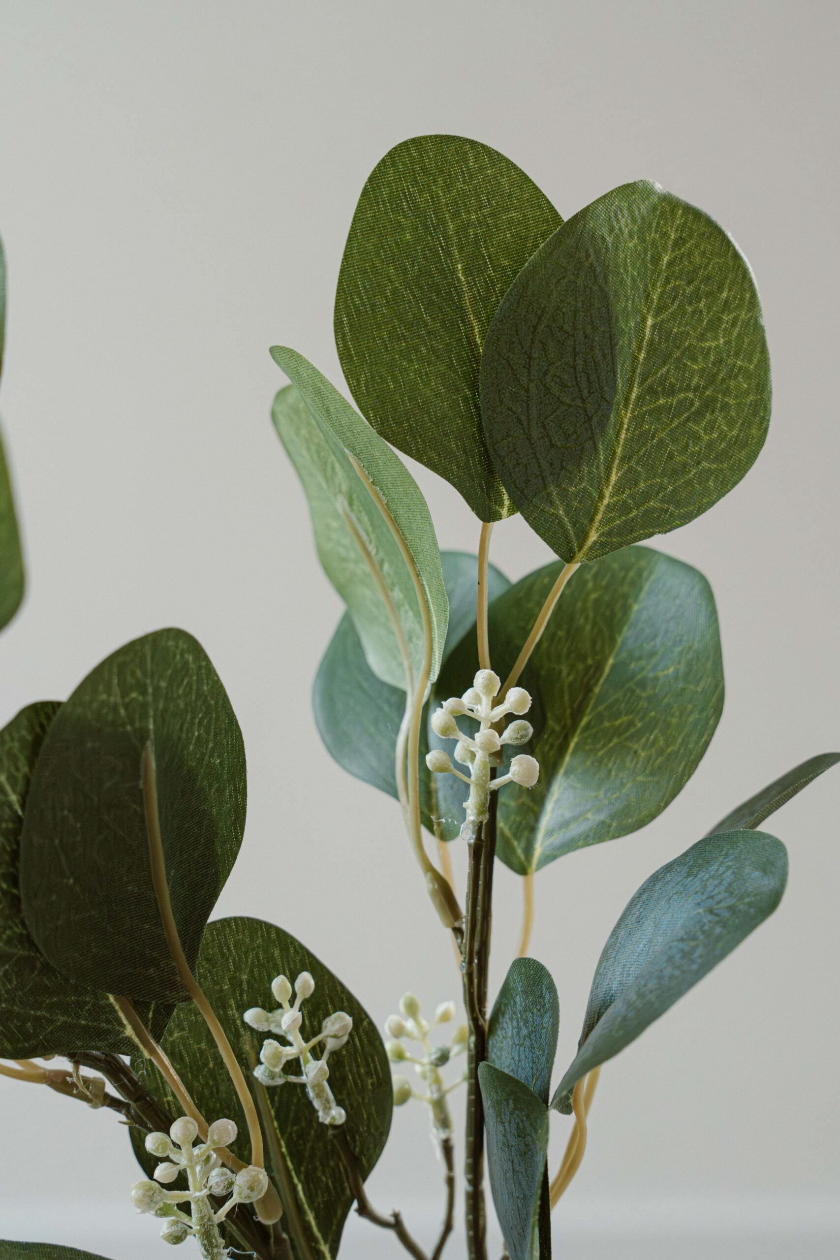 Indore Silva - Eucalyptus - artificial branch - silk