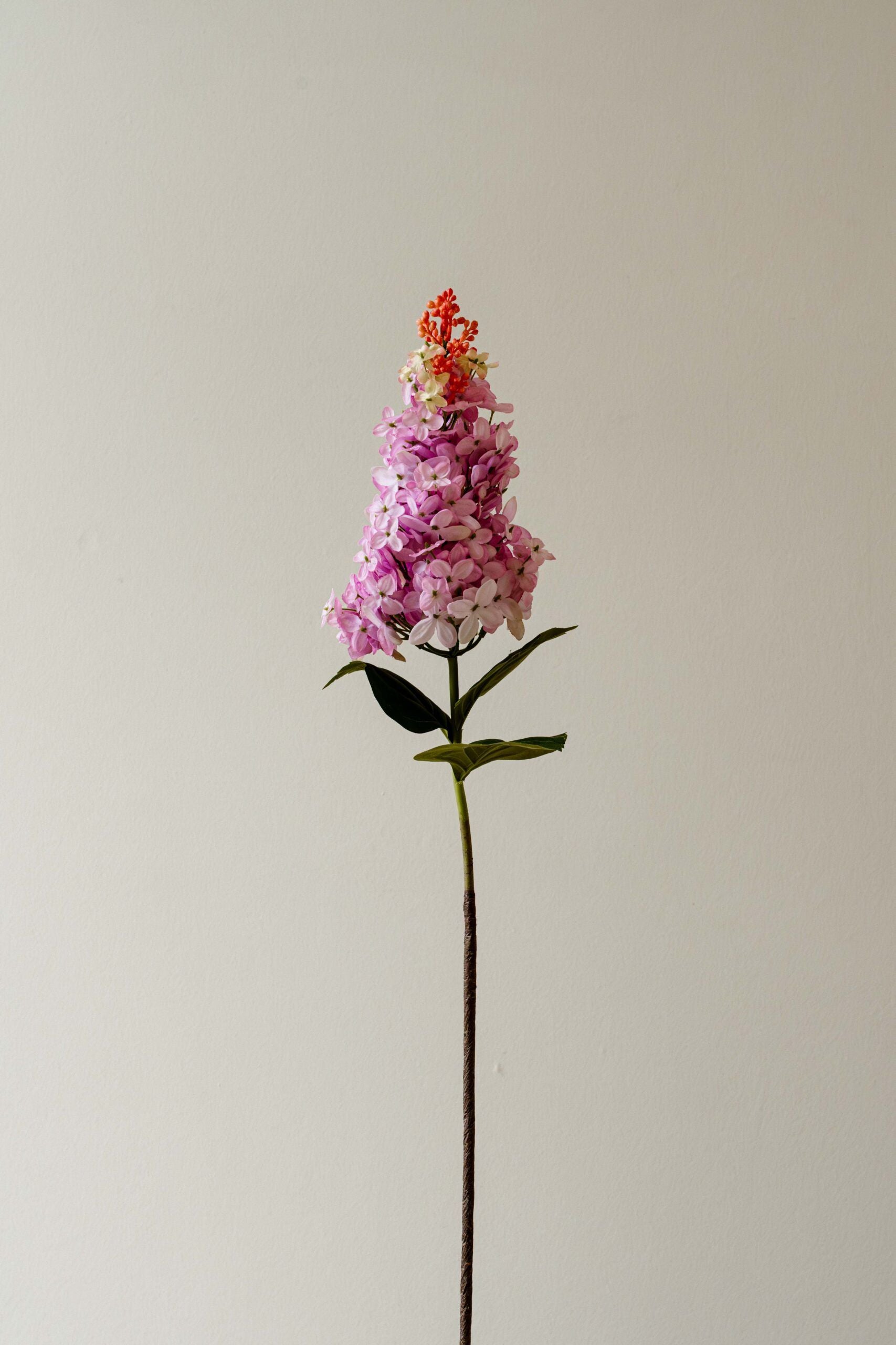 Indore Silva - Sering - Purple - artificial branch - silk