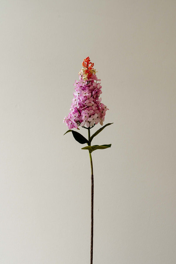 Indore Silva - Sering - Purple - artificial branch - silk