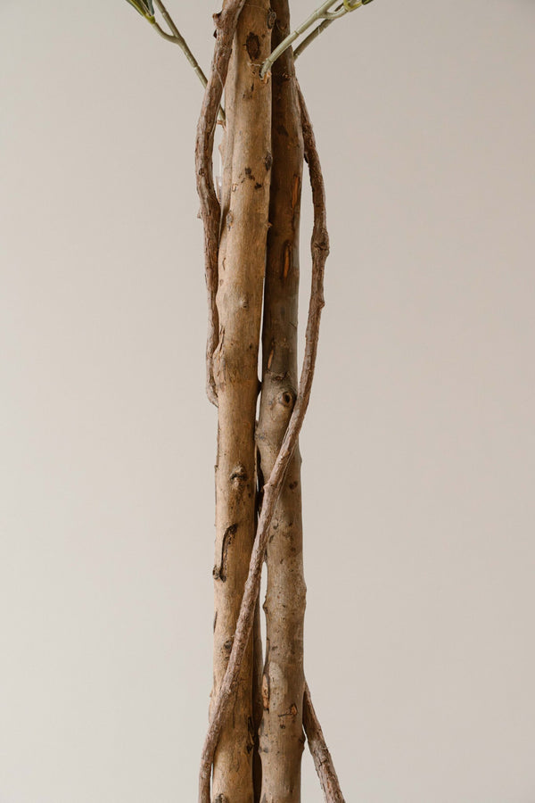 Kunst Olijfboom 180 cm - Mediterrane Olijfboom Kunstplant - Stijlvolle Kamerplant - Indore Home