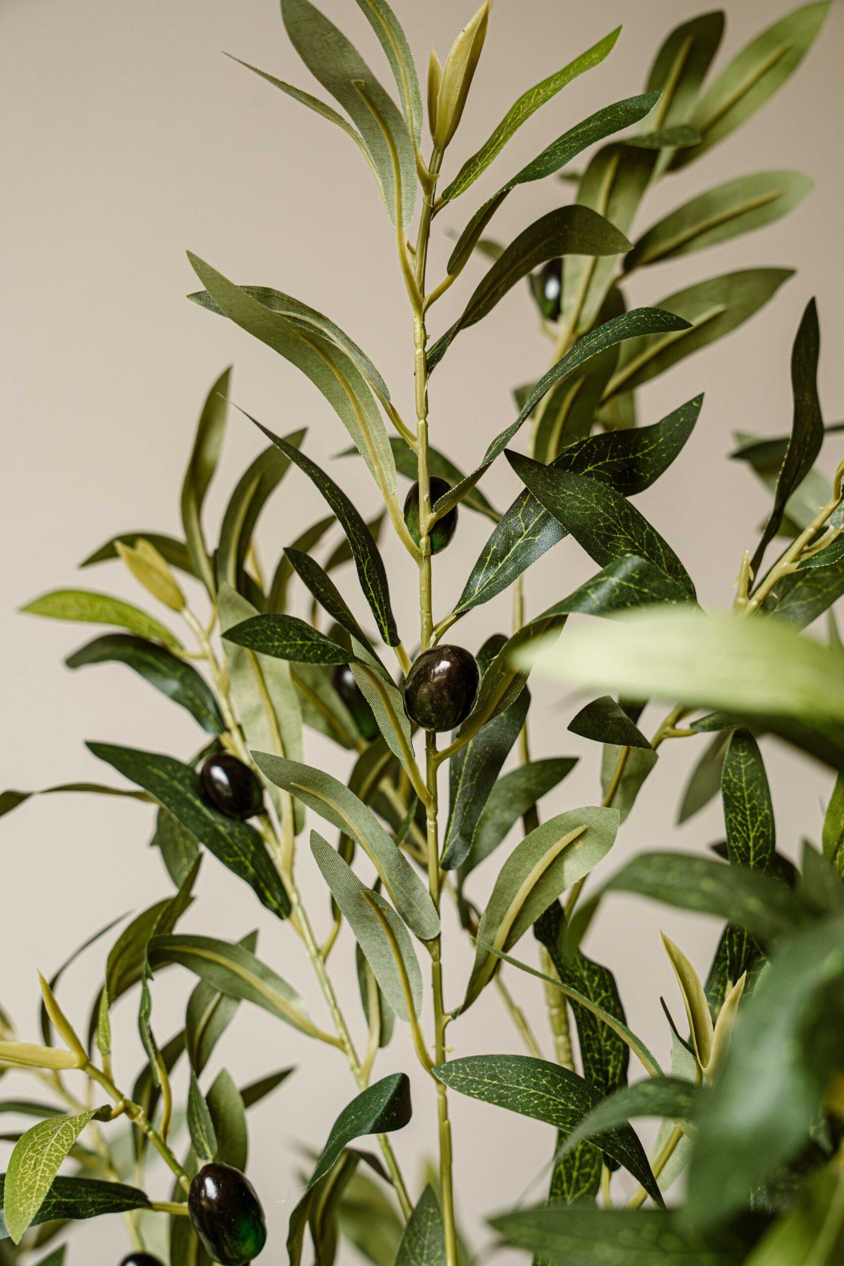 Indore Silva - Artificial Olive Tree - 155cm