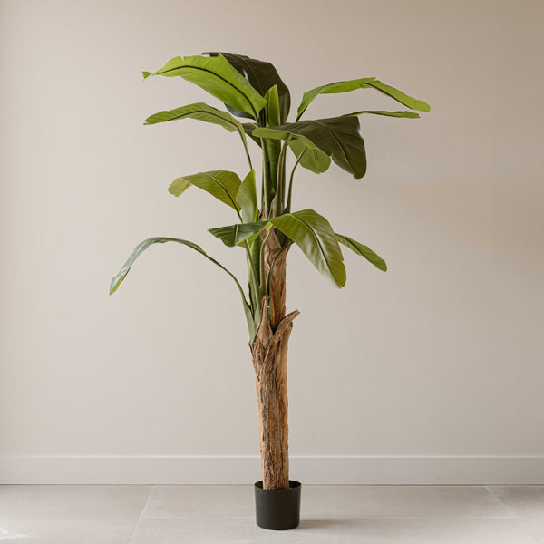 Indore Silva - Artificial Banana Plant - 160cm