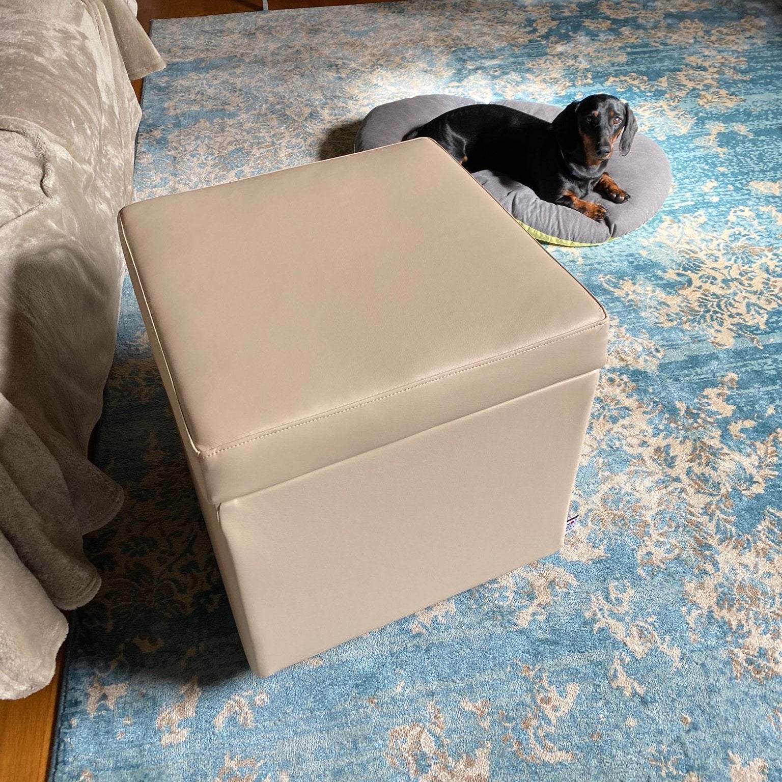 PANDORA 42 ECO, Pouf Contenitore Poggiapiedi in Ecopelle 42x42 h42, ,  Arketicom