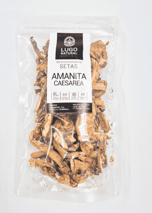 amanita caesarea