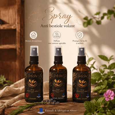 Anti insecte volant - spray d’intérieur - Scarly Shop