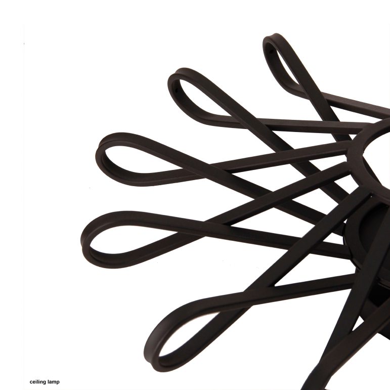Deze gedetailleerde zwart metalen plafondlamp heeft een robuuste uitstraling.