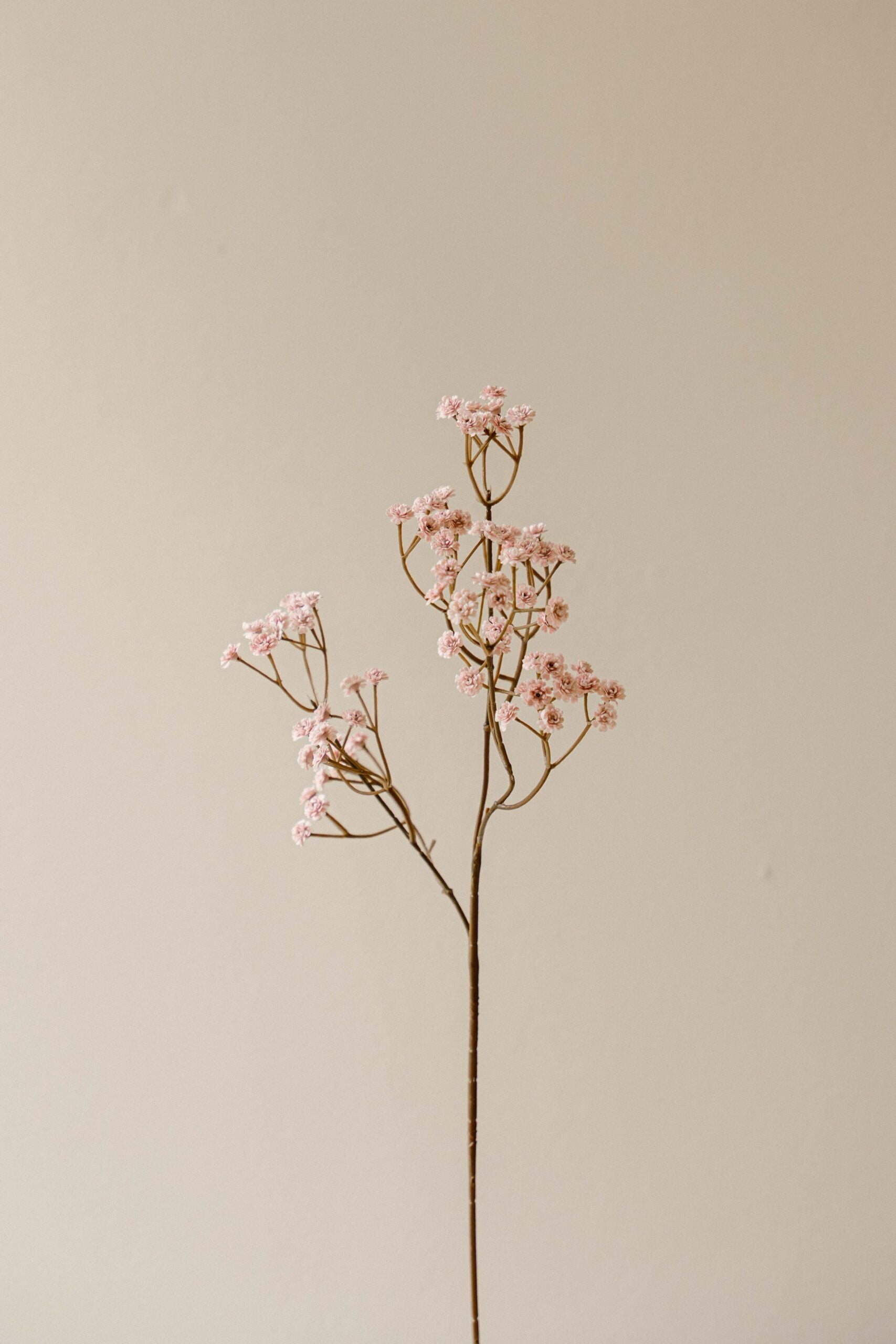 Indore Silva - Gypsophila - Pink - artificial branch - silk