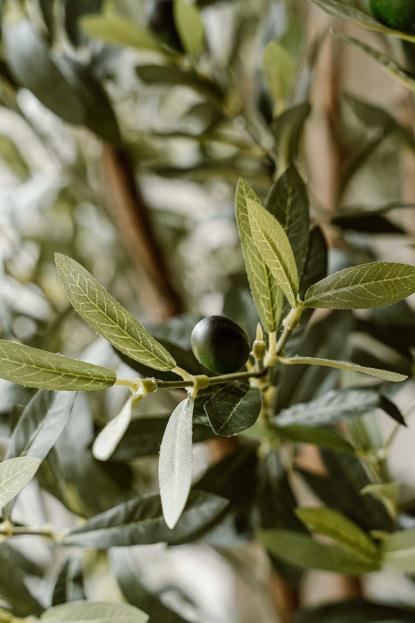 Indore Home - Artificial Olive Tree - 180cm - Delivery time 1-2 weeks