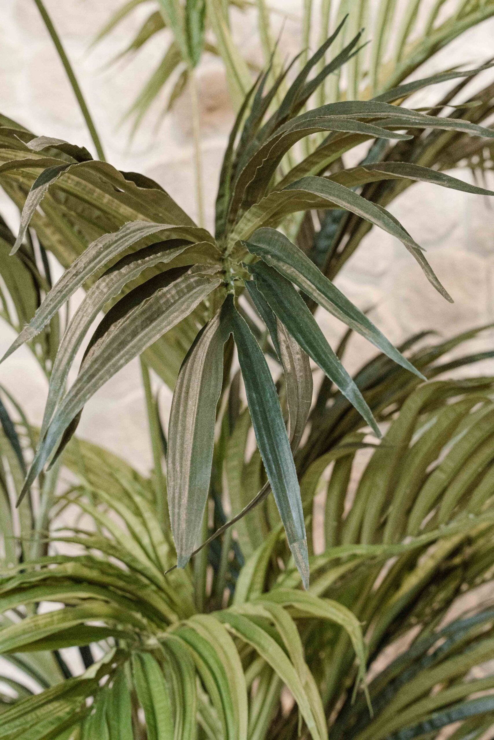 Artificial Kentia Palm 280 cm – Extra Large Tropical Indoor Plant – Elegant Palm for High Ceilings – Indore Silva