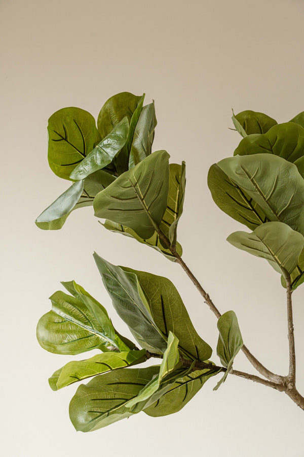 Indore Silva - Kunstplant Vijg - 190cm