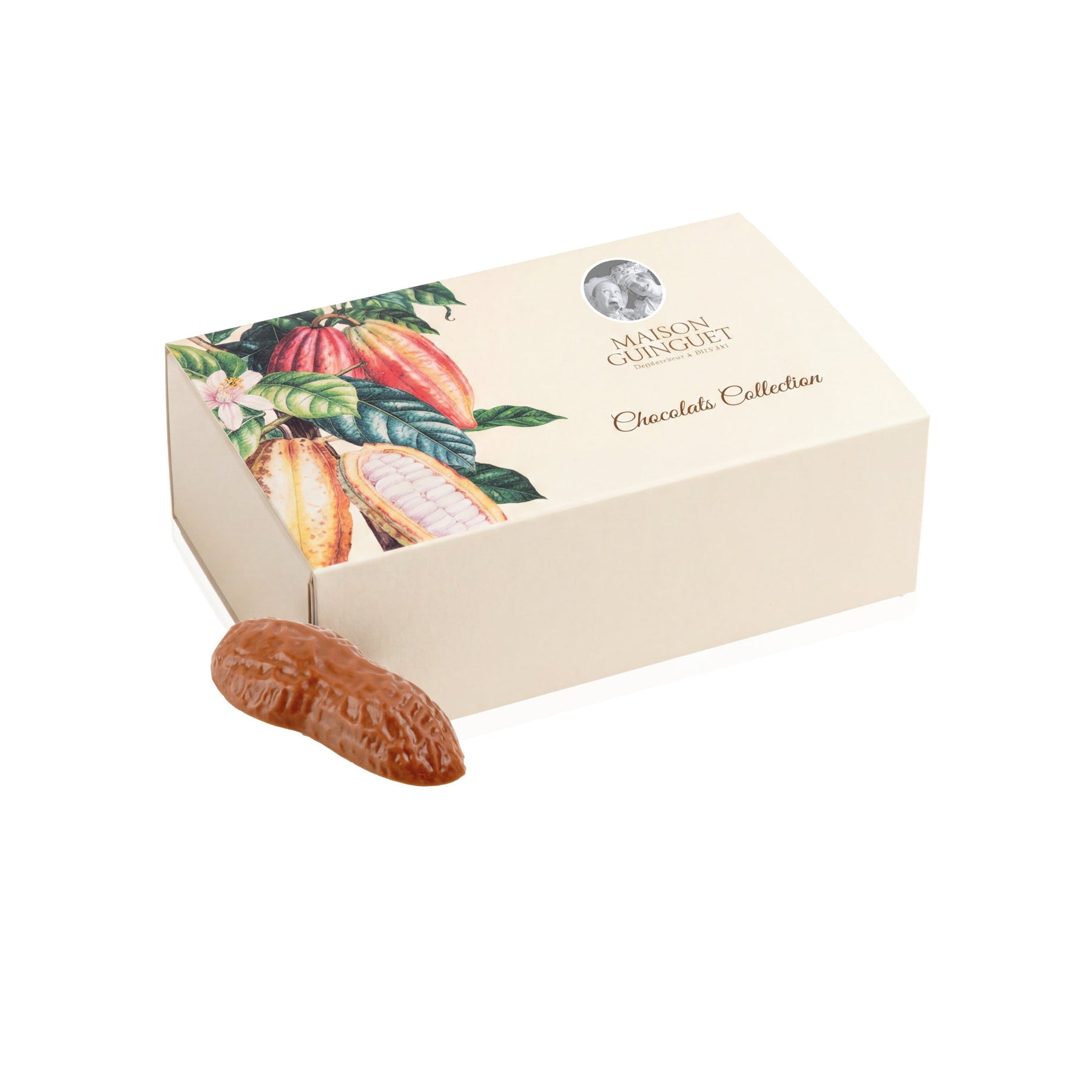 ASSORTIMENTS DE CHOCOLATS FINS BALLOTIN 100 g