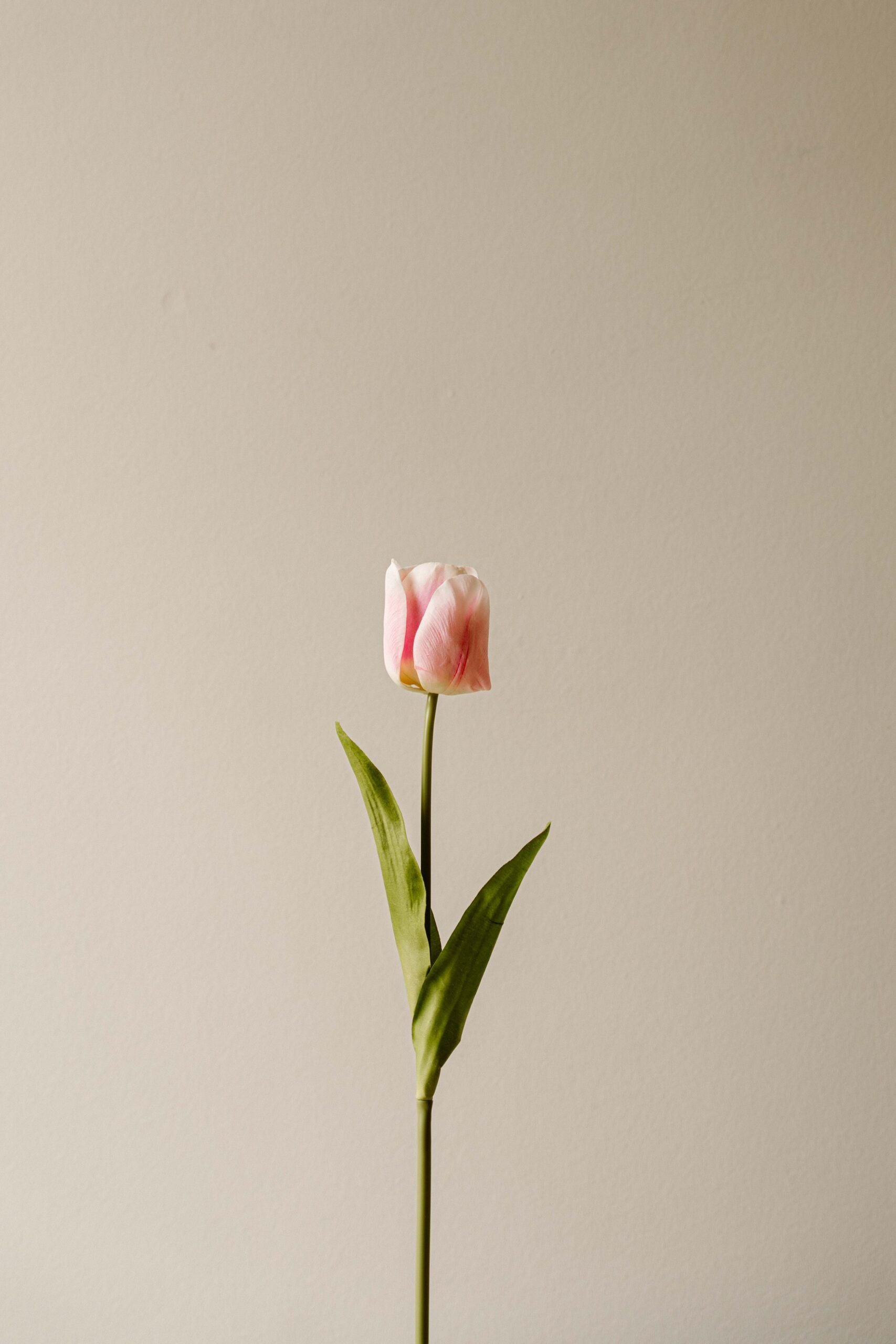 Indore Silva - Tulip - Light Pink - artificial branch - silk