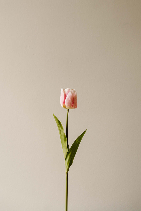 Indore Silva - Tulip - Light Pink - artificial branch - silk